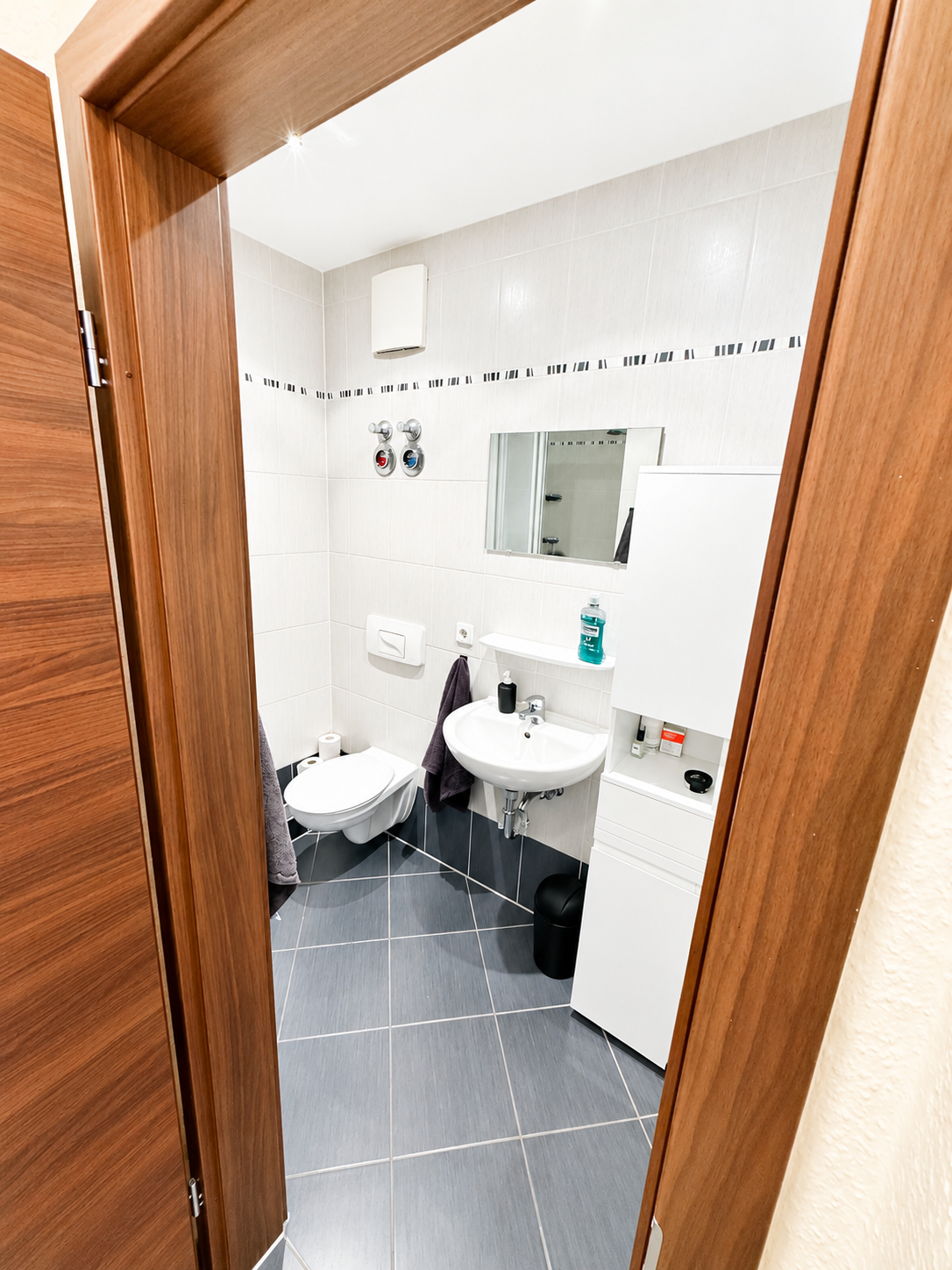 Badezimmer des Apartments mit Dusche und Waschbecken